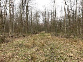 Property photo 45 - LAND AUCTION - 156.63+/- ACRES OFFERED IN 7 TRACTS IN ALLEN COUNTY, INDIANA